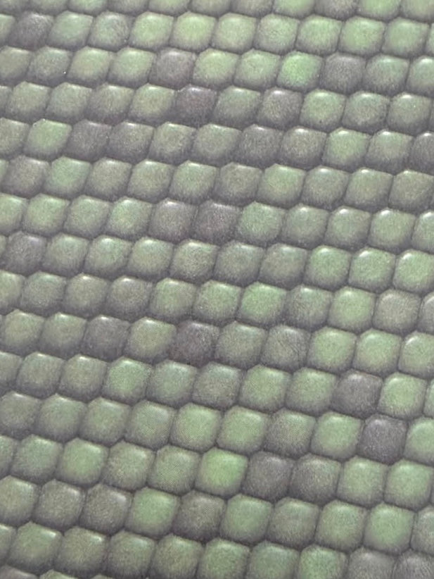 La médaille crocodile